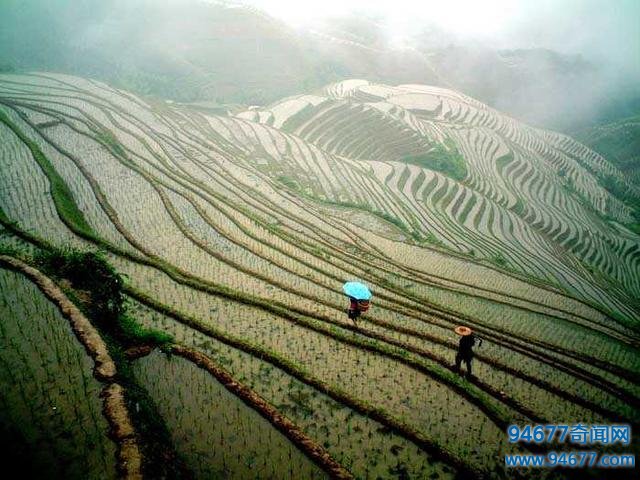 桂林龙脊梯田，世界梯田之最，景象简直是人间一大奇观