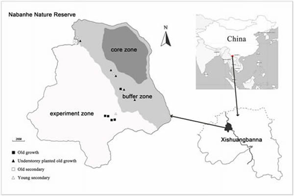 纳板河自然保护区实验样地图