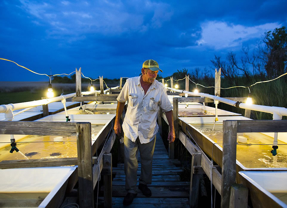 美国弗吉尼亚州的Tangier Island和Smith Island，这两个岛上的海鲜颇负盛名。