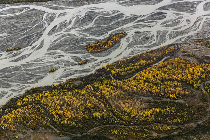 美国德纳利国家公园Denali National Park