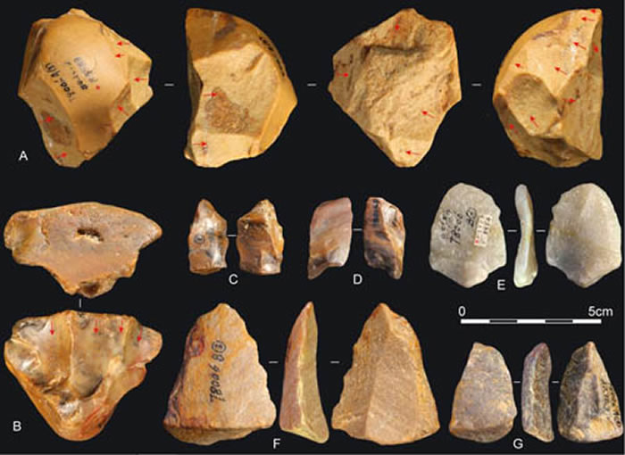 大荔人遗址出土的石核、石片（E、F、G石片的背面具有三角形片疤）（李浩供图）