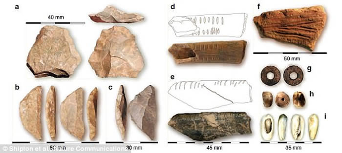 德国科学家发掘78000年前肯尼亚Panga ya Saidi洞穴古人类遗址