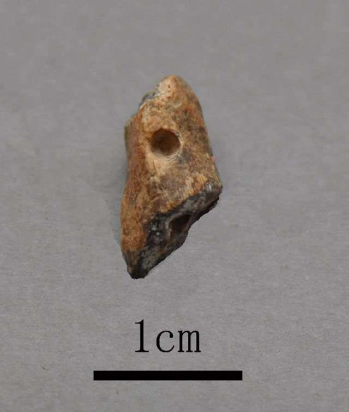 河南栾川龙泉洞遗址发现3万至4万年前古人类用火遗迹