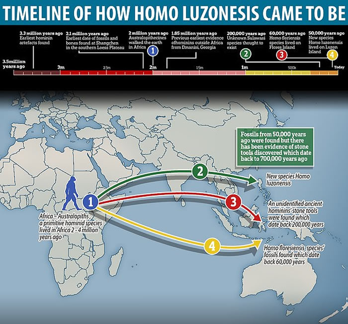 菲律宾吕宋岛卡劳洞穴发现数万年前全新人种“吕宋人”（Homo luzonensis）化石