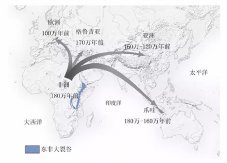 科学杂志：中国发现的主要直立人头骨化石