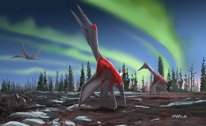 新种翼龙——“北风冰龙”Cryodrakon boreas生活在7600万年前的白垩纪加拿大西部