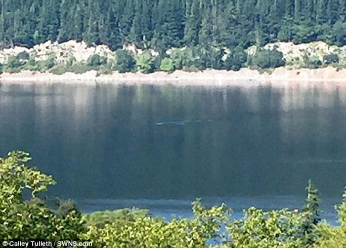 尼斯湖水怪再度现身？游客在湖边享用午餐时发现水面出现神秘涟漪
