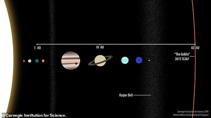 从这张插图中，我们可以看到新发现的2015 TG387（昵称小妖精）和太阳系其它天体公转轨道的比较。 ILLUSTRATION BY CARNEGIE INST