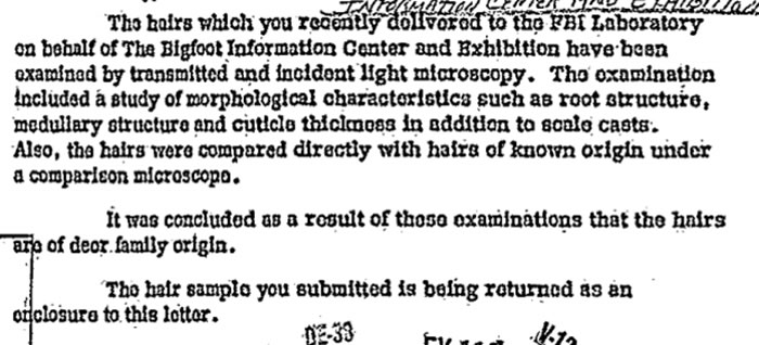 美国联邦调查局（FBI）公布研究1976年雪人样本相关文件：毛发属于鹿科动物