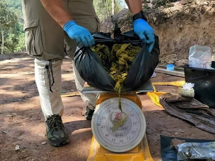 泰国一头死鹿胃中发现7公斤塑料