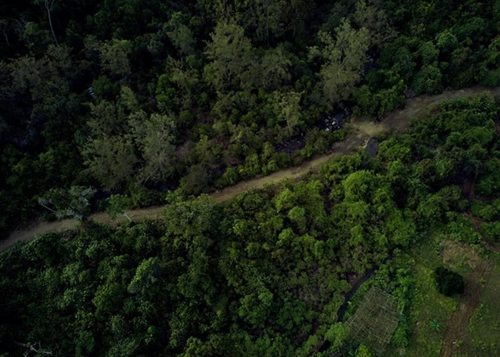 联合国生物多样化公约组织草拟2030年环保目标 冀扭转地球第六次生物大灭绝