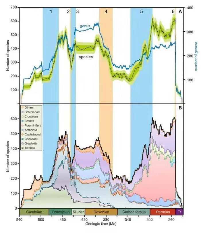 古生代海洋生物多样性演变曲线