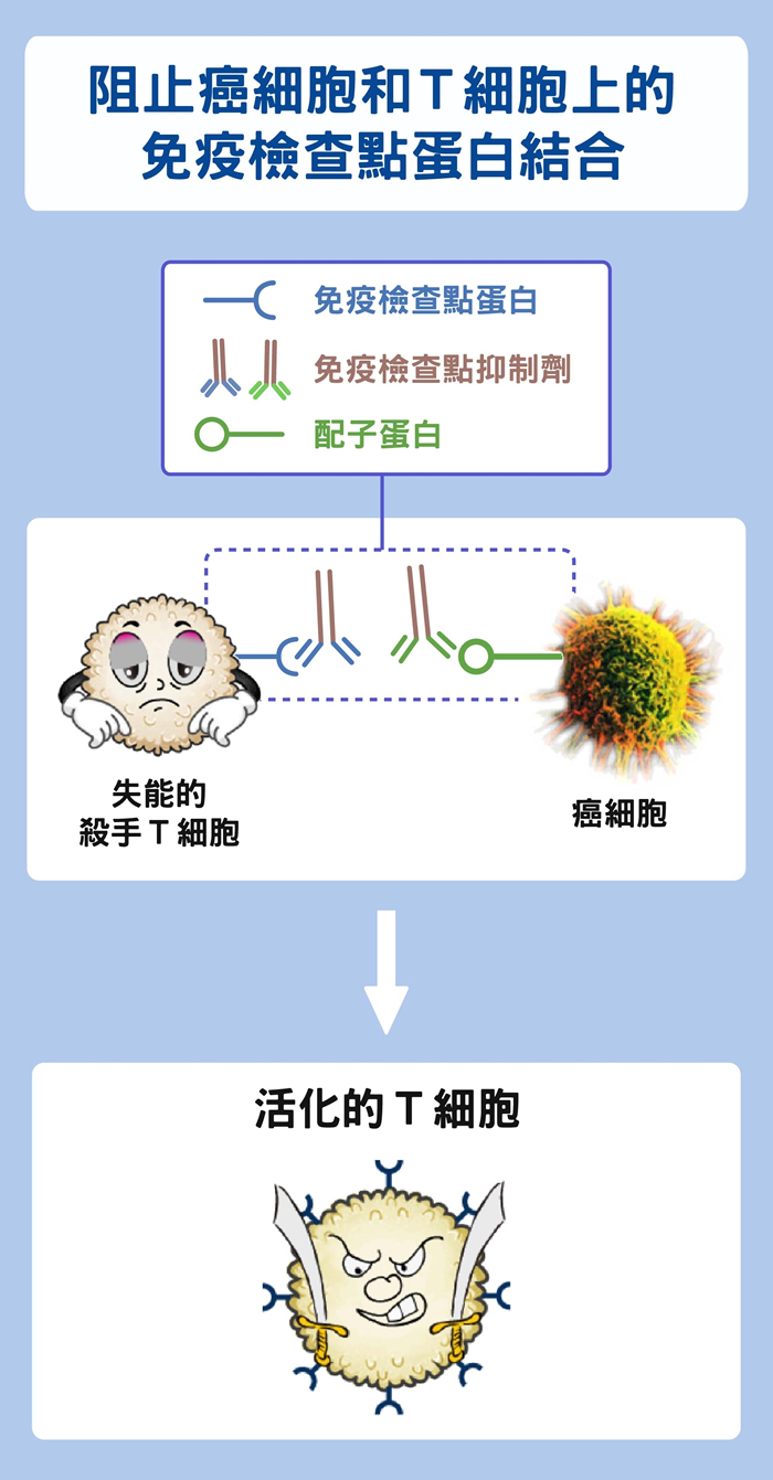 数据源│陶秘华 图说原作│张峰碧 图说美化│林洵安