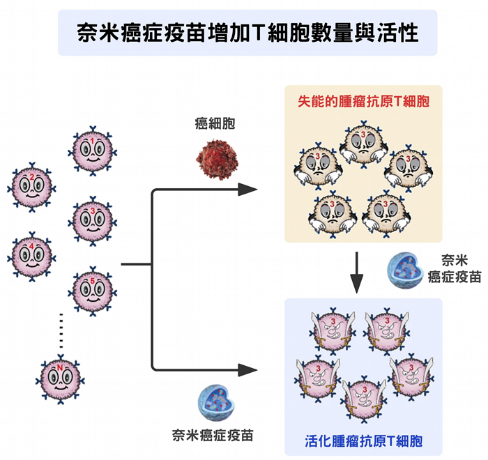 数据源│陶秘华 图说原作│张峰碧 图说美化│林洵安