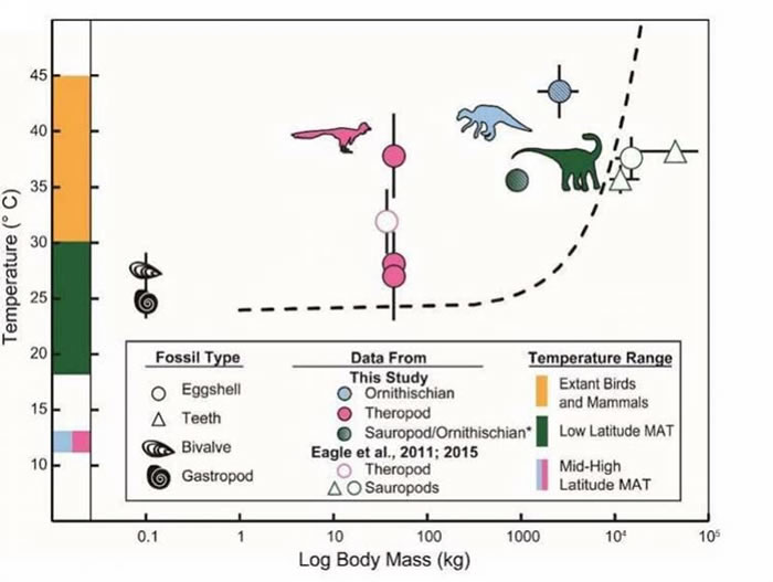7500万年前恐龙蛋化石揭示恐龙在进化早期已具备自我调节体温的能力