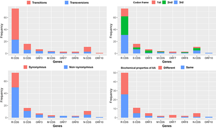 图3. 120个变异位点在8个编码区的分布情况。统计类型包括替换或替代（左上角），密码子位置1-3（右上角），同义突变或非同义突变（左下角），和氨基酸性质（右下