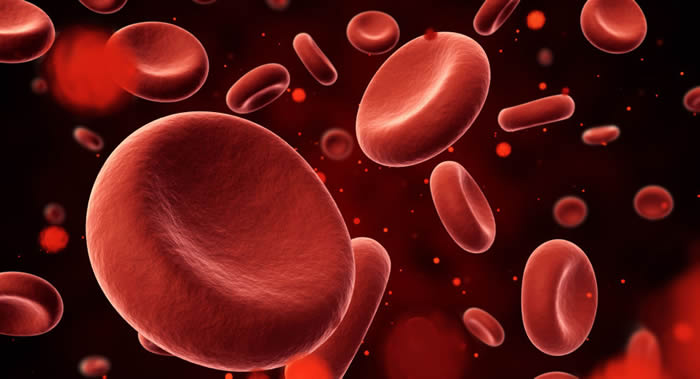 瑞典卡罗林斯卡学院专家研究发现A型血的人的患癌症风险低于其他血型的人