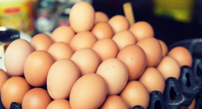 研究称适量食用鸡蛋与发生心脏和血管病变的高风险无关 每天一个比较适中
