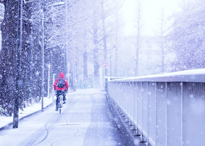 日本东京樱花盛开后仍下雪 51年一遇