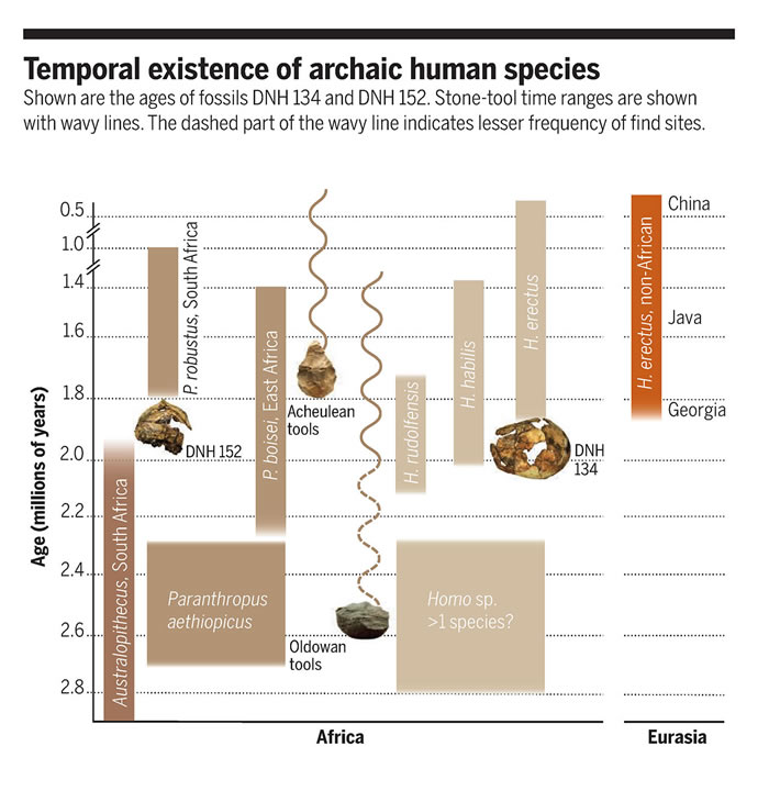 南非曾是3种古人类的家园 德里莫伦遗址出土200万年前非洲最古老直立人