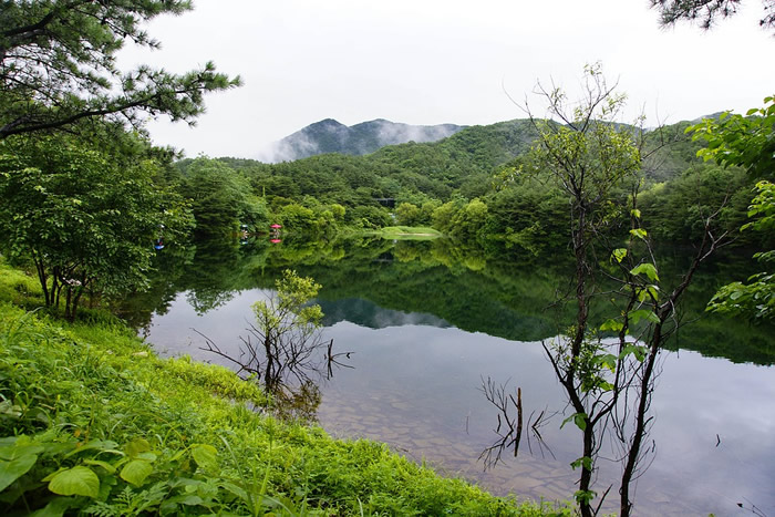 雨后出现独特气味的原因 由5亿年历史化学“交流”模式介导