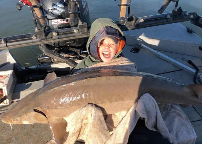 美国田纳西州9岁男童钓获重逾36公斤巨型湖鲟