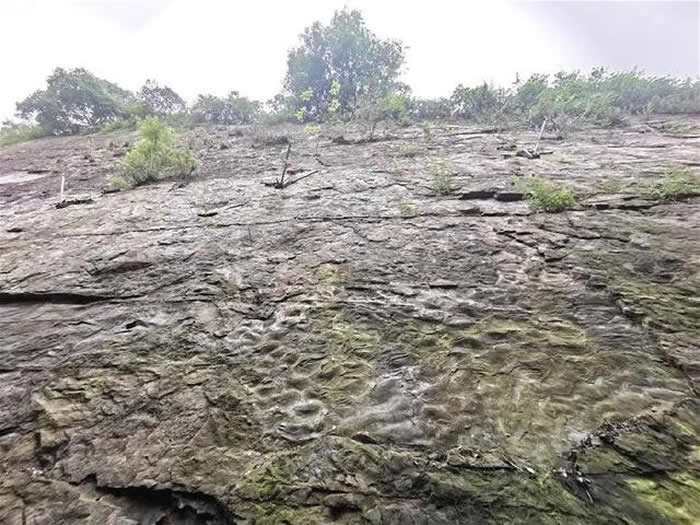 重庆北碚缙云山首次发现远古巴蜀湖波痕遗迹 形成时间约为侏罗纪早期