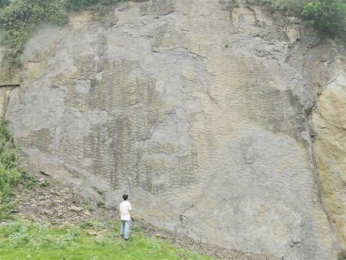 重庆北碚缙云山首次发现远古巴蜀湖波痕遗迹 形成时间约为侏罗纪早期