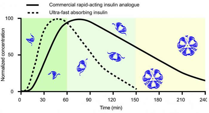 超快起效的胰岛素制剂更快地控制糖尿病患者血糖