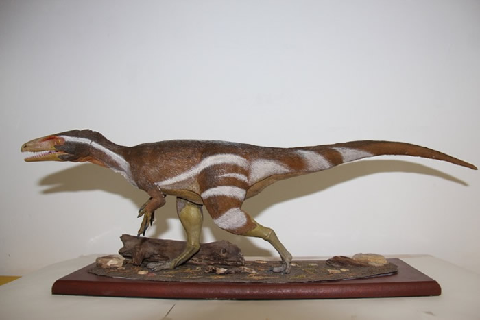 巴西发现新品种“阿拉塔龙”Aratasaurus museunacionali 与中国新疆左龙有亲缘关系