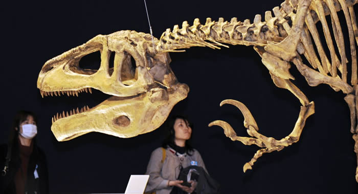 世界上最完整的霸王龙骨架在佳士得拍卖行以创纪录的超过3180万美元价格被拍卖