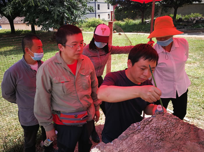 丁今朝在云南丽江为边屯博物馆淳信龙化石进行修理和保护