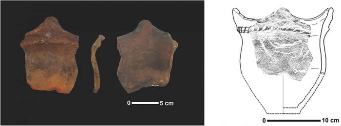 熊本大学的小畑弘己教授使用X射线从3600年前绳文时期晚期陶器中发现28处米虫压痕