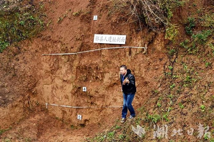 曾参与郧县人头骨化石发掘的冯小波教授介绍当年发掘情形