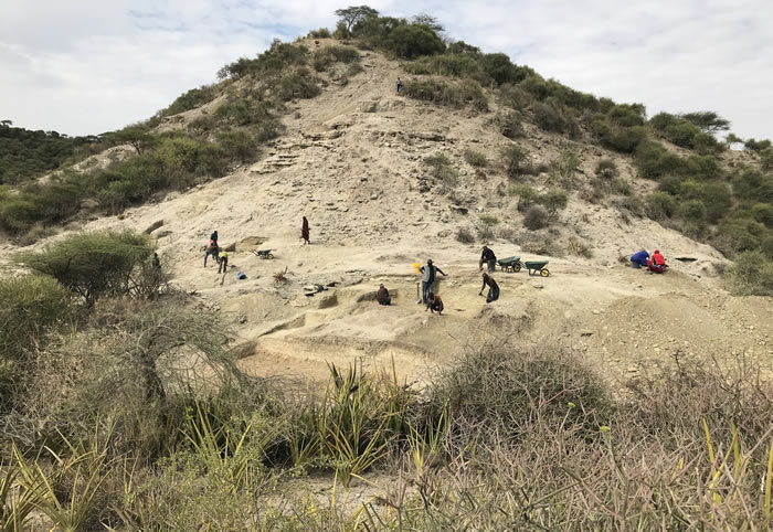 人类在奥杜瓦伊峡谷活动的最早证据可以追溯到大约200万年前