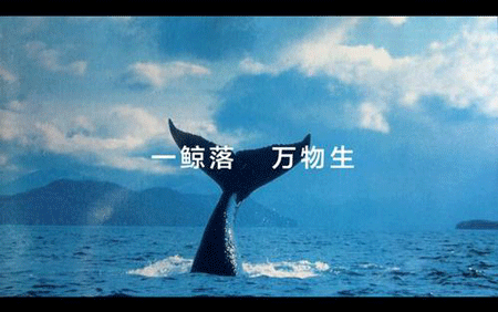 鲸落是什么意思?为何都说一鲸落万物