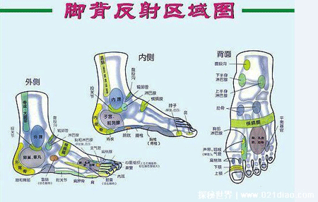 脚的各个部位详细图图解,这些部位不正常的需要注意了