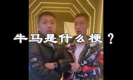 网络语言牛马是什么梗?网络语言牛马是什么意思?