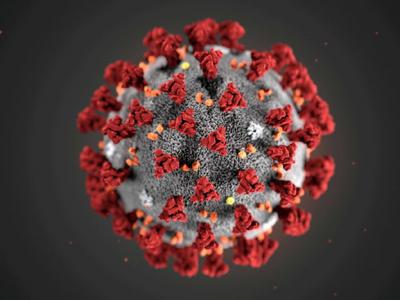 美国乔治亚大学研究：痛风药物丙磺舒Probenecid可望有效治疗新冠肺炎