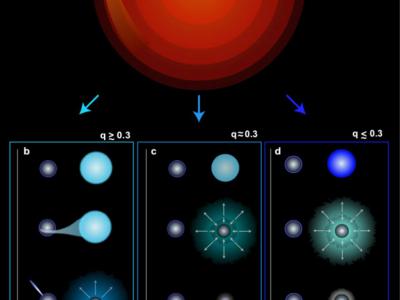 新研究显示在超新星中被剥离的大质量恒星爆炸如何导致重中子星或轻黑洞的形成