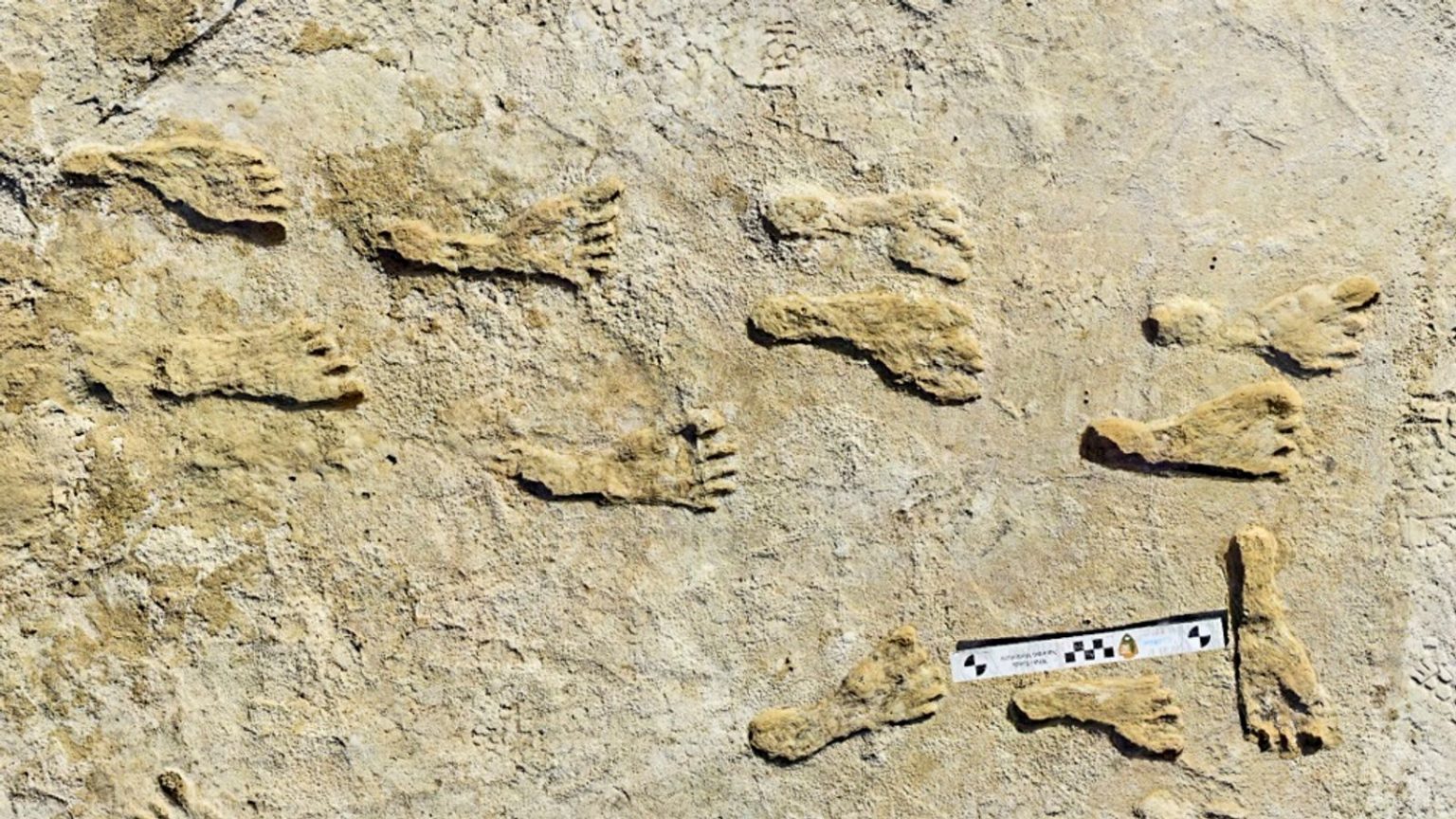 美国新墨西哥州白沙国家公园发现的化石足迹确认人类在2.3万年前就已踏上了北美大陆