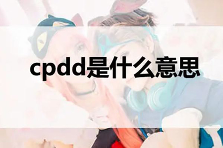 网络用语cpdd是什么意思?是找伴侣的意思吗?