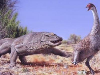 4.5万年前人类的到来导致澳大利亚史前“牛顿巨鸟”灭绝